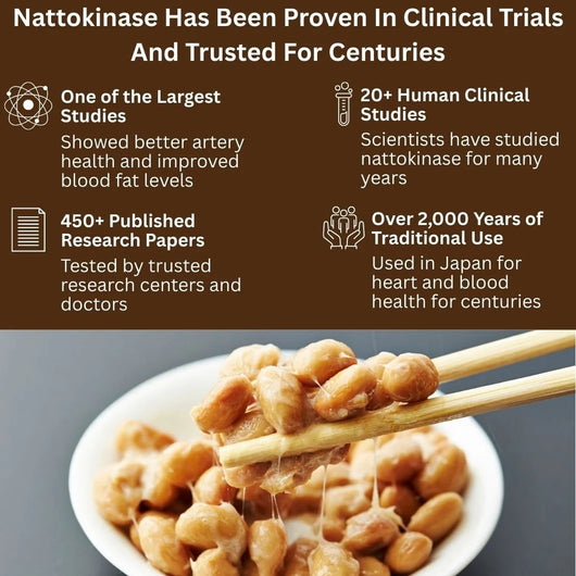 High-Strength 10,000 FU Nattokinase For Healthy Blood Flow & Heart Support